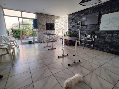 Imagem ilustrativa da empresa Veterinário de Aves, cães e gatos - Clínica Central Pet em Belo Horizonte - MG
