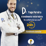 Imagem ilustrativa da empresa Veterinário Domiciliar 24h - Dr. Yago Pereira em Goiânia - GO