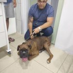 Imagem ilustrativa da empresa VETERINÁRIO DR VINICIUS em Duque de Caxias - RJ