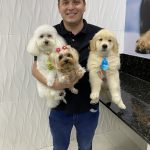 Imagem ilustrativa da empresa Veterinário em domicílio - Dr. Maurício Berno em Campo Grande - MS