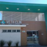 Imagem ilustrativa da empresa Veth Clin Clínica Veterinária em Campo Grande - MS