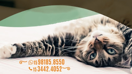 VETIVER Clínica Veterinária em Sorocaba - SP