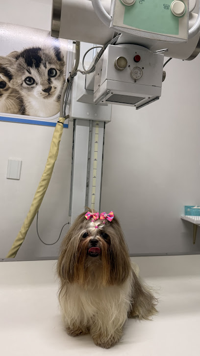 VETLAB - Centro de Diagnóstico Veterinário em Sorocaba - SP