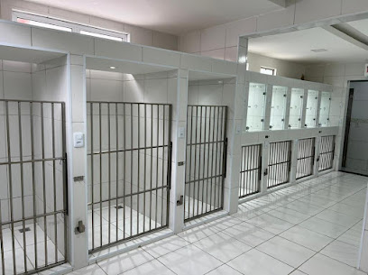 Vetlife | Clínica Veterinária 24h em Fortaleza - CE