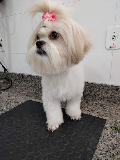 VetPitucha - Veterinário em Rio de Janeiro - RJ