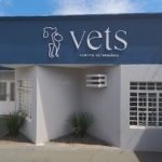 Imagem ilustrativa da empresa Vets - Clínica Veterinária em Campo Grande - MS