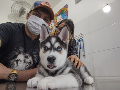 Vets - Clínica Veterinária em Salvador - BA