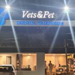 Imagem ilustrativa da empresa Vets & Pets BH Hospital Veterinário em Belo Horizonte - MG