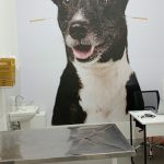 Imagem ilustrativa da empresa Vetso Veterinária em Sorocaba - SP
