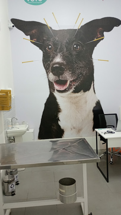 Vetso Veterinária em Sorocaba - SP