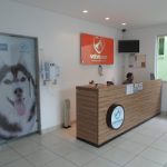 Imagem ilustrativa da empresa Vetvogas Hospital Veterinário em Belo Horizonte - MG