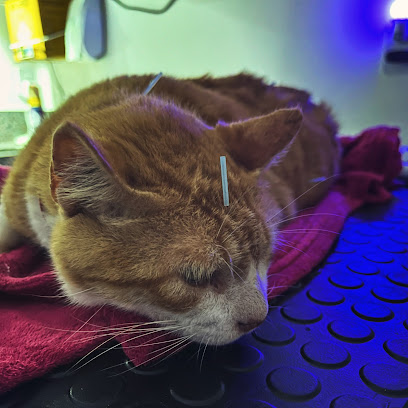 VetZen - Clínica Veterinária em Salvador - BA