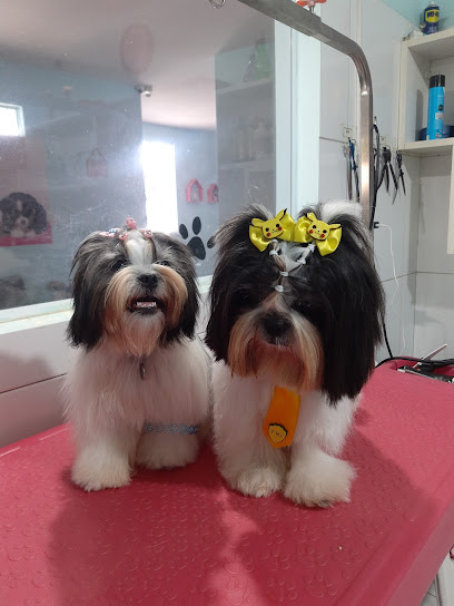 Vida Espaço Pet - Veterinário em Fortaleza - CE
