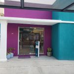 Imagem ilustrativa da empresa Vida Pet - Veterinário em Porto Alegre - RS