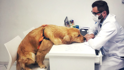 Vilavet clínica veterinária em São Paulo - SP