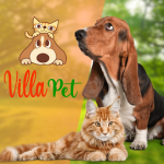 Imagem ilustrativa da empresa Villa Pet Veterinária Pet Shop em Salvador - BA