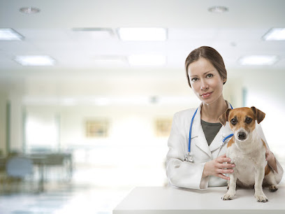 Vip Clínica Pet – Veterinário em Ribeirão Preto - SP