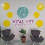 Imagem ilustrativa da empresa Vital Vet Centro Veterinário - Pet Shop Montese em Fortaleza - CE