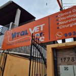 Imagem ilustrativa da empresa VITAL VET CLÍNICA VETERINÁRIA em Belém - PA