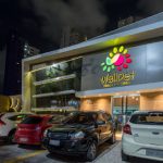 Imagem ilustrativa da empresa Wellpet Clínica e Petshop - Veterinário em Fortaleza - CE