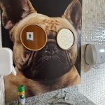 Imagem ilustrativa da empresa Yang Vet acupuntura veterinária em Campo Grande - MS