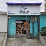 Imagem ilustrativa da empresa YouseVet - Clínica Veterinária em Guarulhos - SP