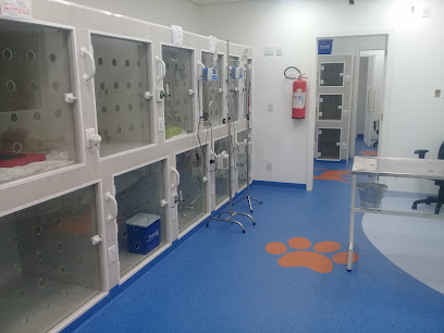 Zoovet 24 horas - Veterinário em São Paulo - SP