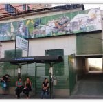 Imagem ilustrativa da empresa ZOOVET - Clínica Veterinária I Animais Silvestres I Exóticos I Aves I Petshop em Belo Horizonte - MG