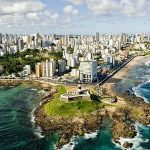Imagem ilustrativa da empresa A Baratinha Controle de Pragas em Salvador - BA