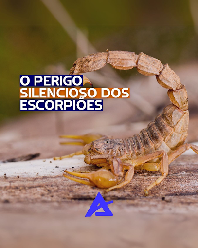Anchieta Pulverizações - Dedetização em Belo Horizonte - MG