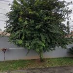 Imagem ilustrativa da empresa Andrea Caçambas em Curitiba - PR