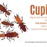 Imagem ilustrativa da empresa Arruda Controle de Pragas em Ribeirão Preto - SP
