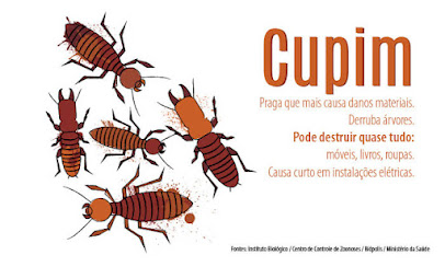 Arruda Controle de Pragas em Ribeirão Preto - SP