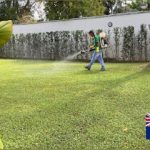 Imagem ilustrativa da empresa BIO MR SERVICES - Controle de pragas - Limpeza de caixa D'água - Tratamento de plantas em Brasília - DF