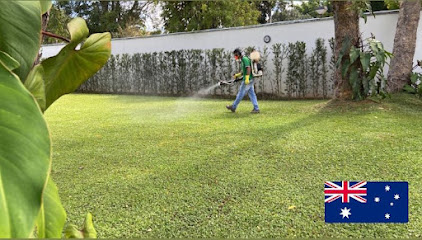 BIO MR SERVICES - Controle de pragas - Limpeza de caixa D'água - Tratamento de plantas em Brasília - DF