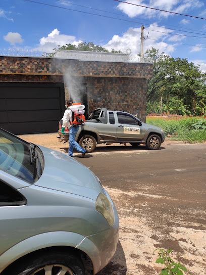 Bioeficaz Dedetizadora em Ribeirão Preto - SP