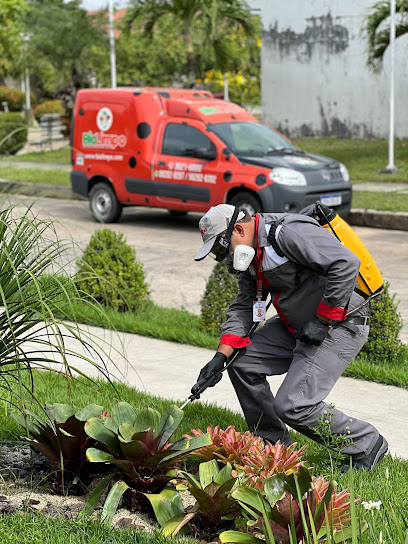 Imagem ilustrativa da empresa Biolimpo Controle de Pragas e Sanitização em Manaus - AM