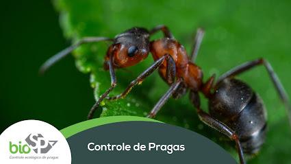 BIOSP - Controle de Pragas em Santo André - SP
