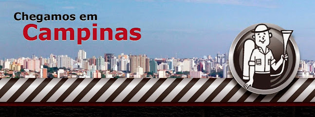 DDDrin - Dedetização em Campinas - SP