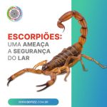 Imagem ilustrativa da empresa Ddtizz dedetizadora e desentupidora em São Paulo - SP
