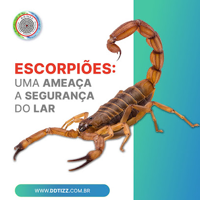 Ddtizz dedetizadora e desentupidora em São Paulo - SP