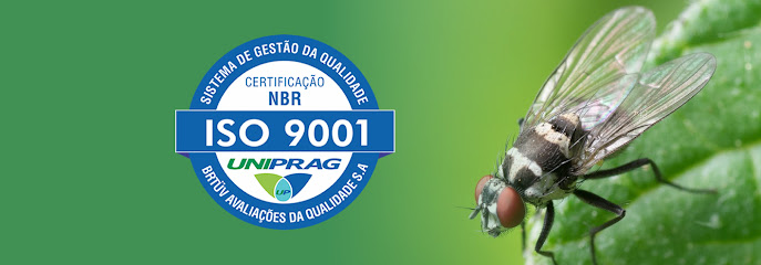 Imagem ilustrativa da empresa Dedetizadora ByControl em Belo Horizonte - MG