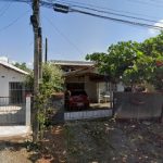 Imagem ilustrativa da empresa Dedetizadora Casa Limpa em Joinville - SC