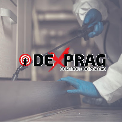 Dedetizadora Dexprag NF | Dedetização em Niterói - RJ