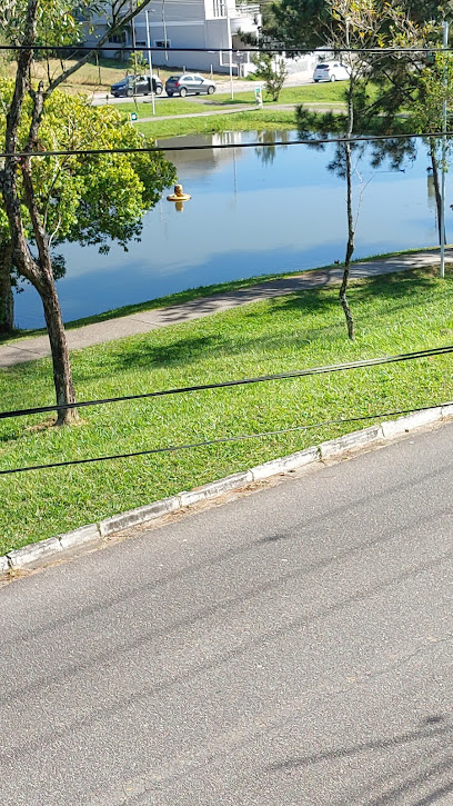 Dedetizadora e Desentupidora TEC-Mil em São José - SC