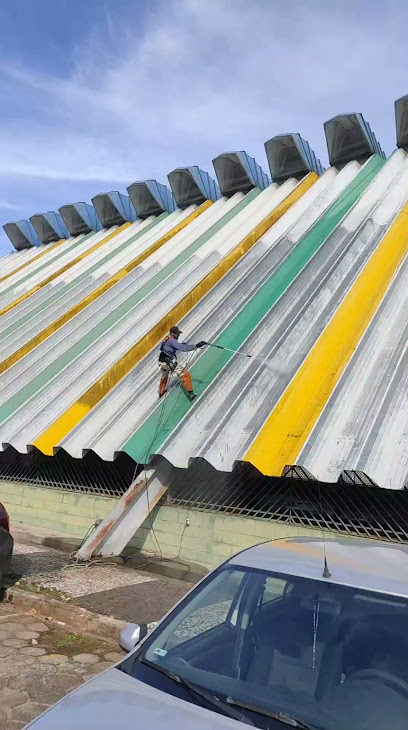 DEDETIZADORA EUCALIPTO em Colombo - PR