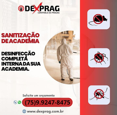 DEDETIZADORA FEIRA DEXPRAG em Feira de Santana - BA