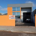 Imagem ilustrativa da empresa Dedetizadora Imuninseto em Londrina - PR