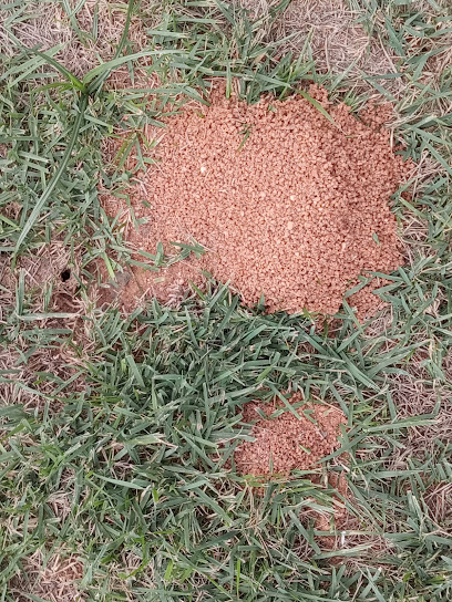 DEDETIZADORA JARDINS em Belo Horizonte - MG