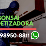 Imagem ilustrativa da empresa Dedetizadora Lapa - DDbonsai - Controle de Pragas - Limpeza de caixa d'água em São Paulo - SP